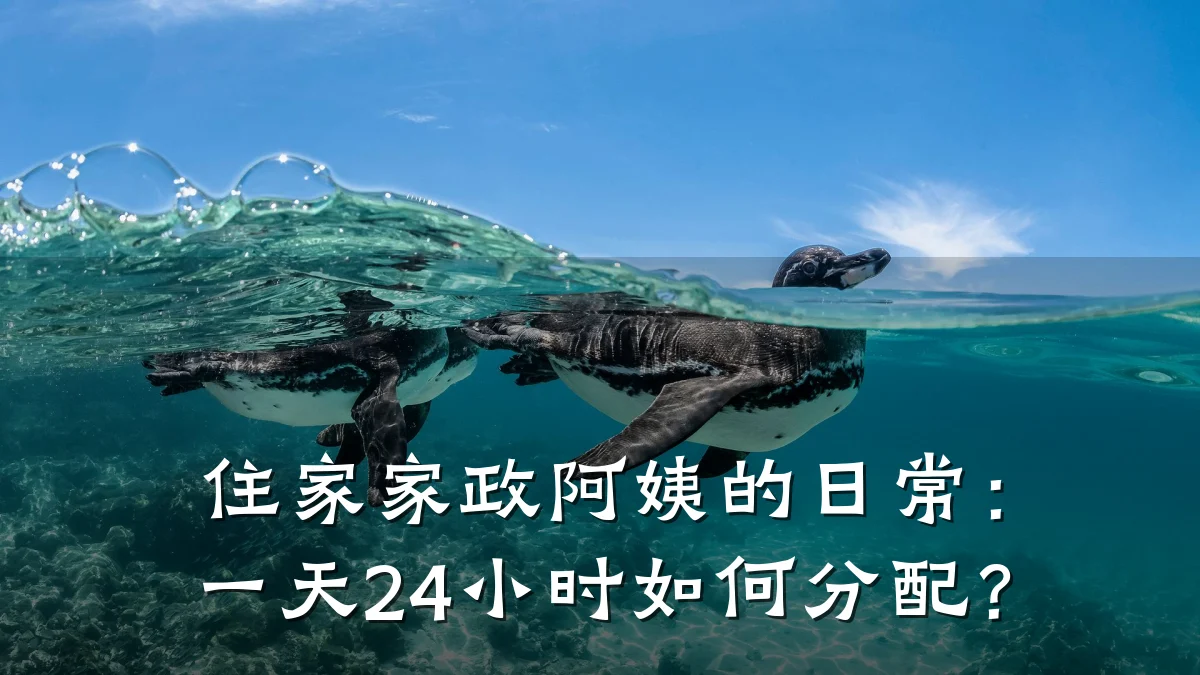住家家政阿姨的日常:一天24小时如何分配?