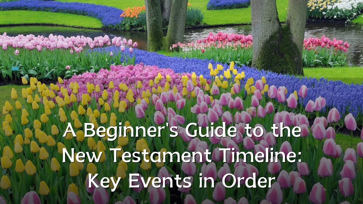 A Beginner's Guide to the New Testament Timeline: Key Events in Order