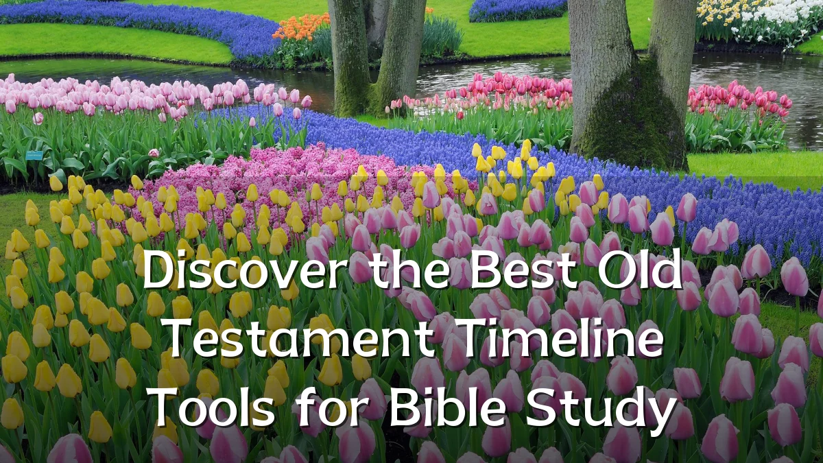 Discover the Best Old Testament Timeline Tools for Bible Study