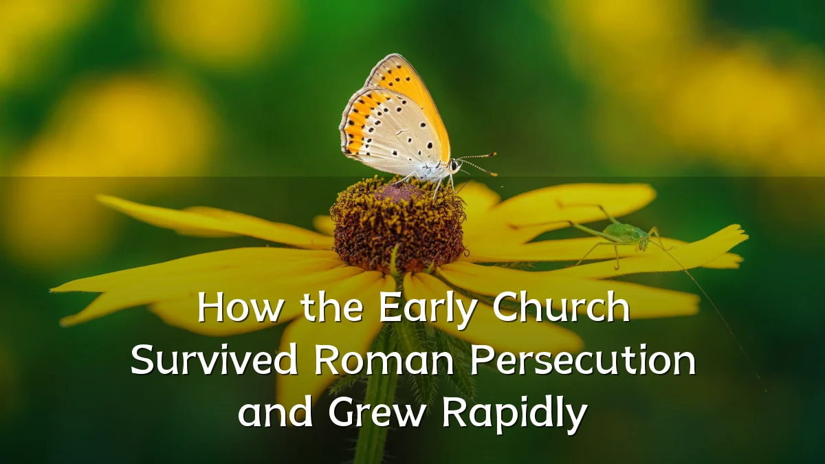 How the Early Church Survived Roman Persecution and Grew Rapidly