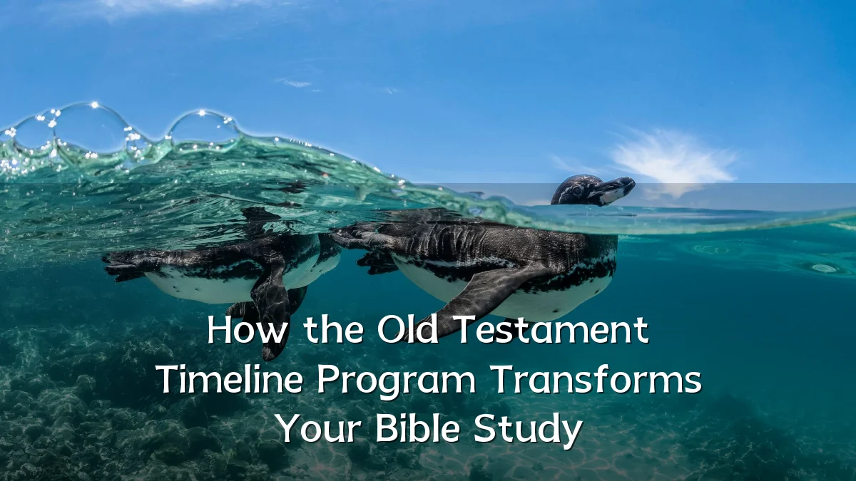 How the Old Testament Timeline Program Transforms Your Bible Study