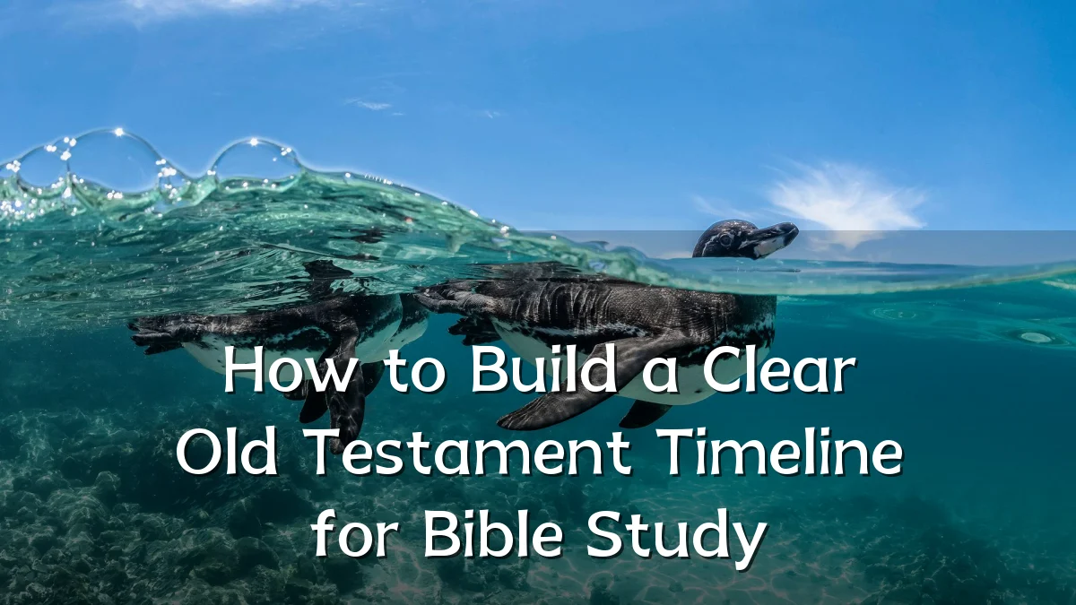 How to Build a Clear Old Testament Timeline for Bible Study