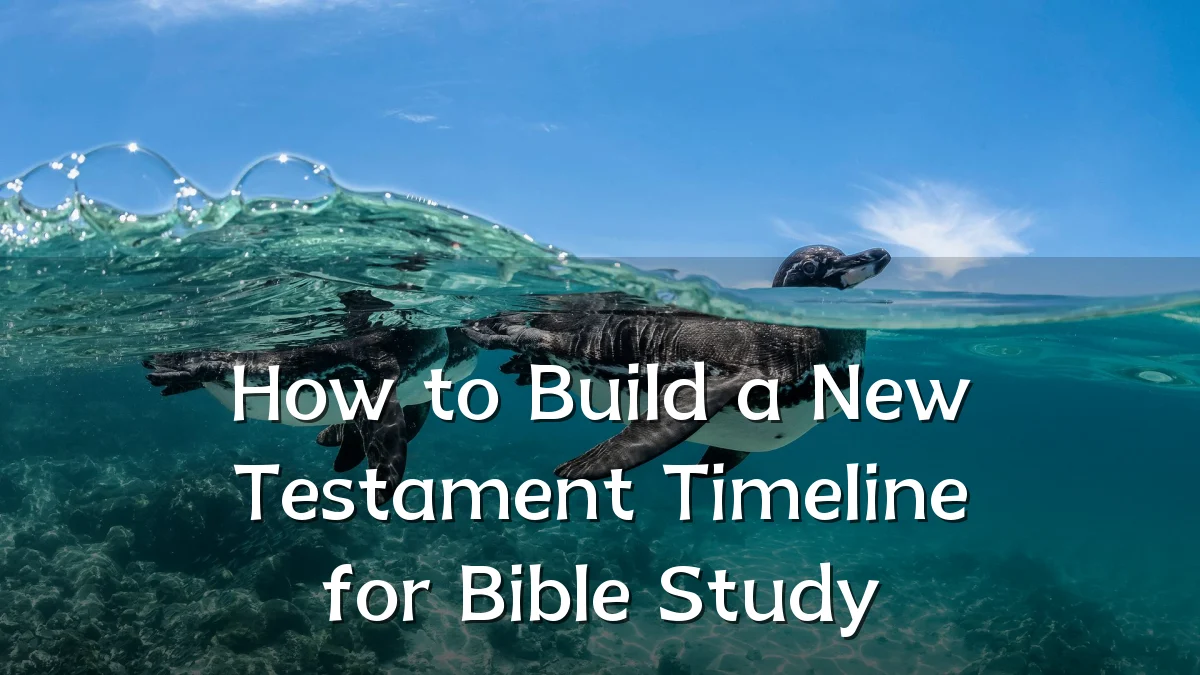 How to Build a New Testament Timeline for Bible Study