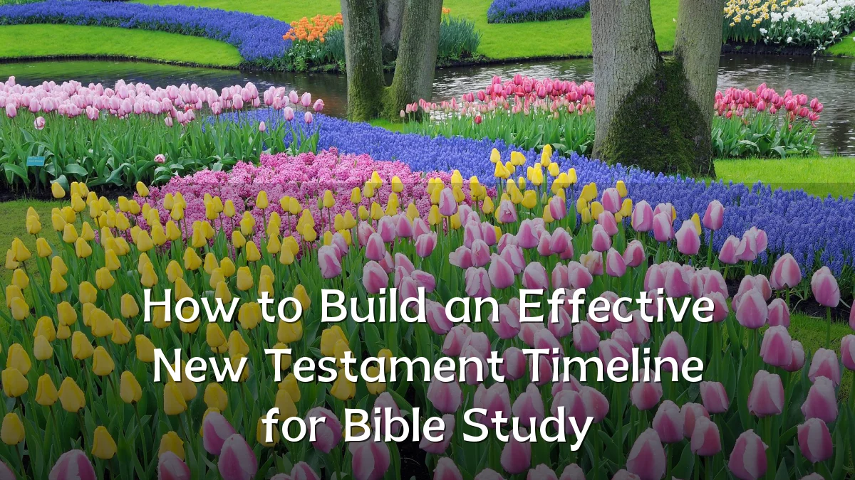 How to Build an Effective New Testament Timeline for Bible Study