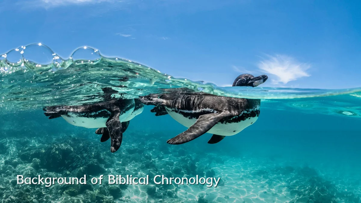 Background of Biblical Chronology