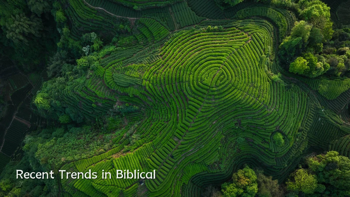 Recent Trends in Biblical