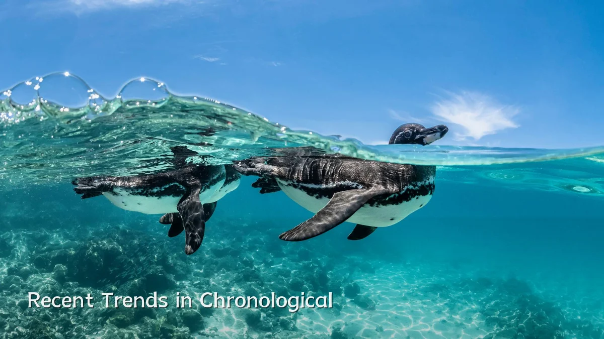 Recent Trends in Chronological