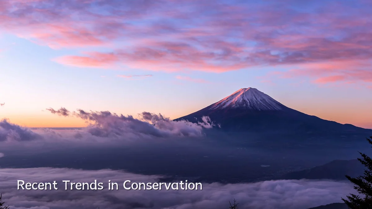 Recent Trends in Conservation