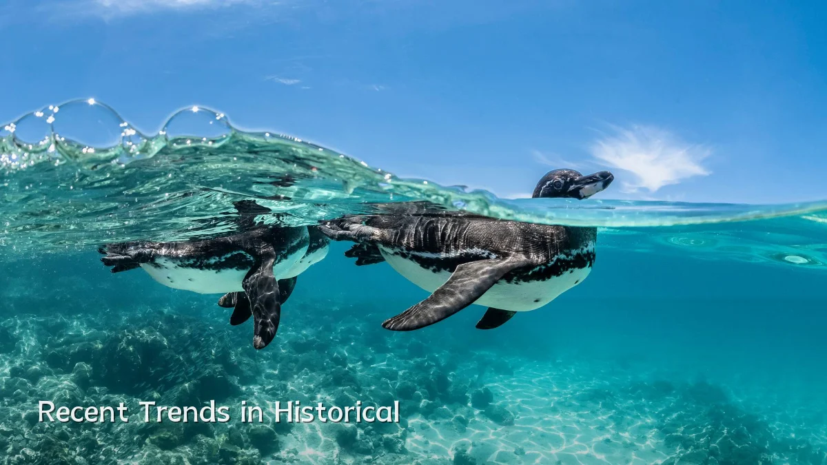 Recent Trends in Historical