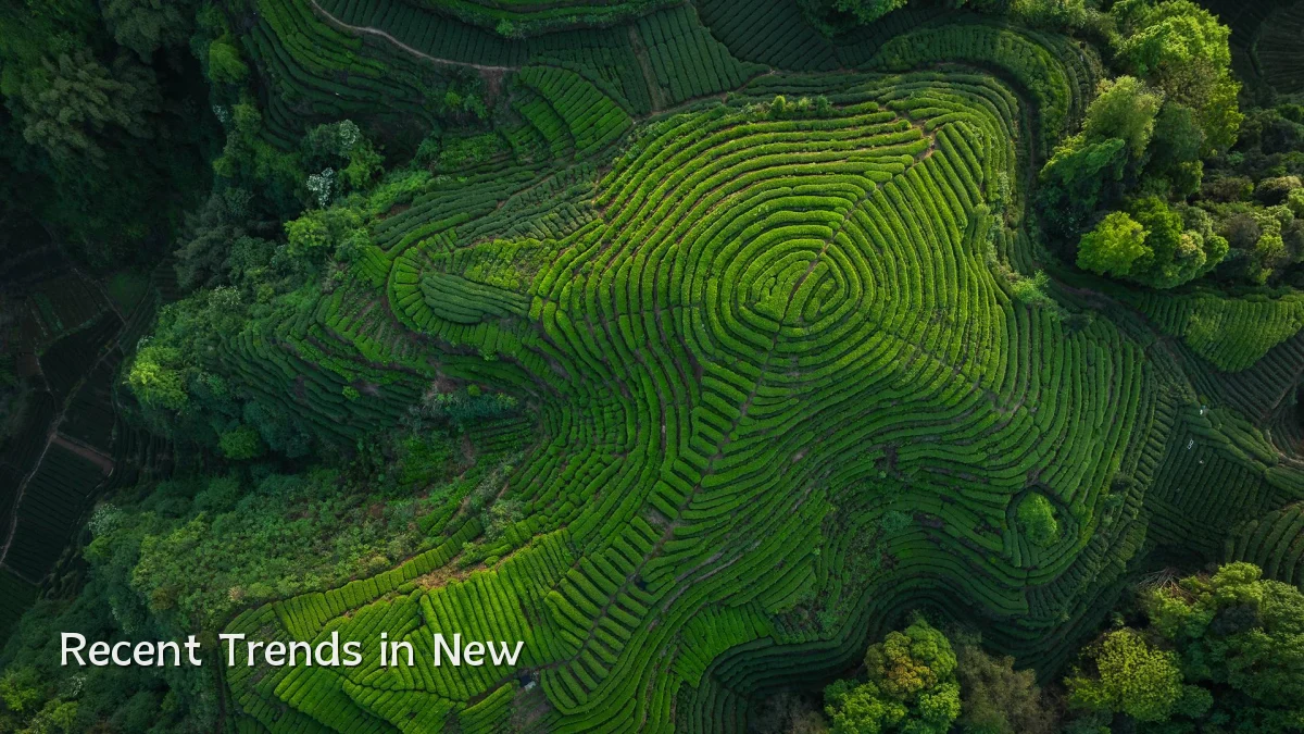 Recent Trends in New