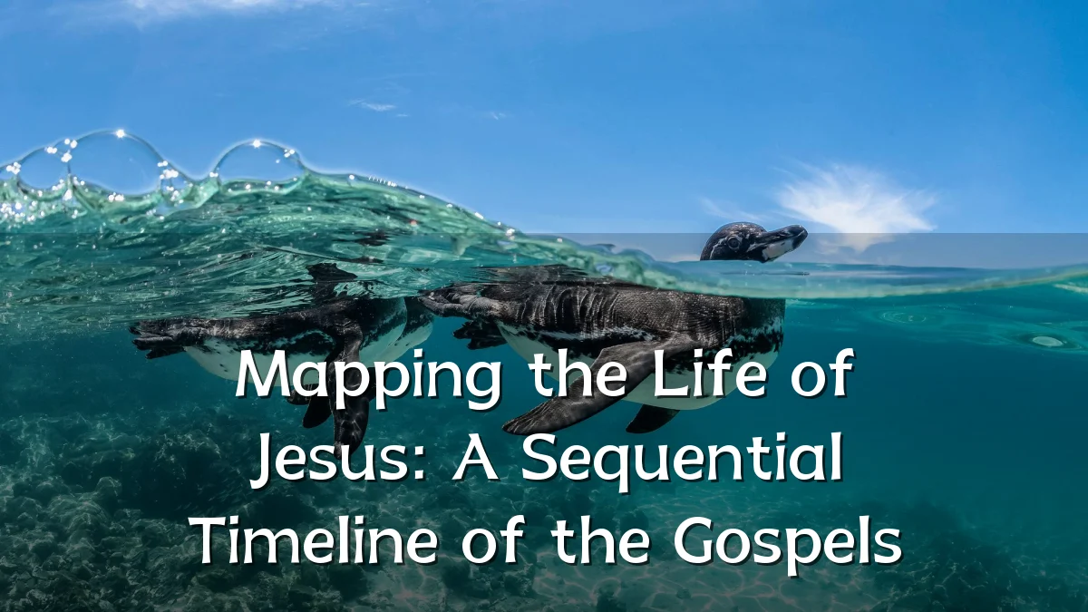 Mapping the Life of Jesus: A Sequential Timeline of the Gospels