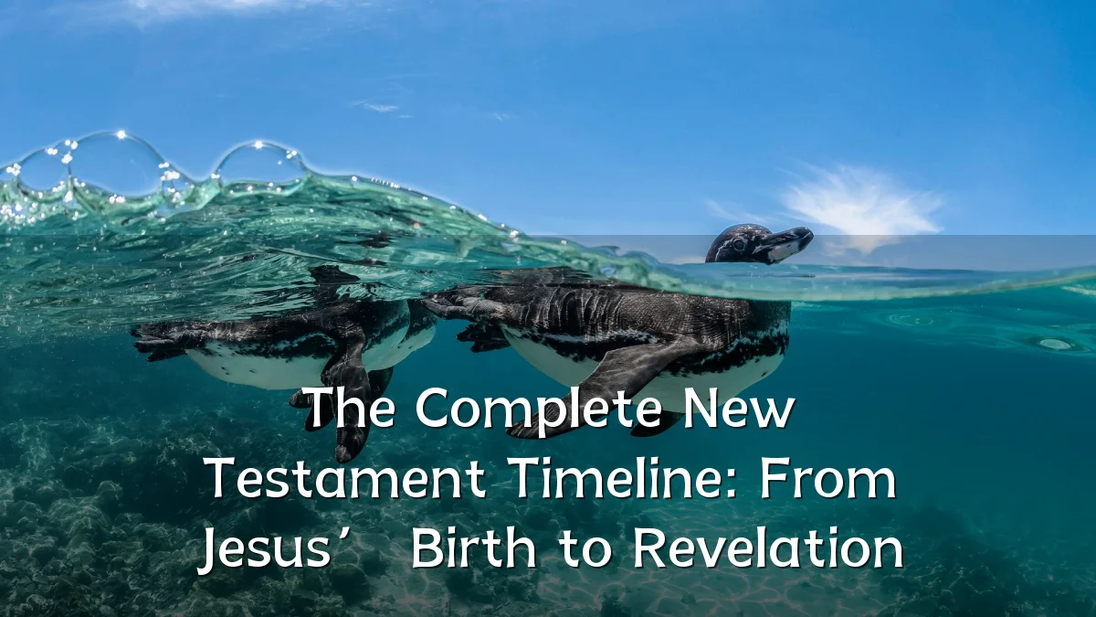The Complete New Testament Timeline: From Jesus’ Birth to Revelation