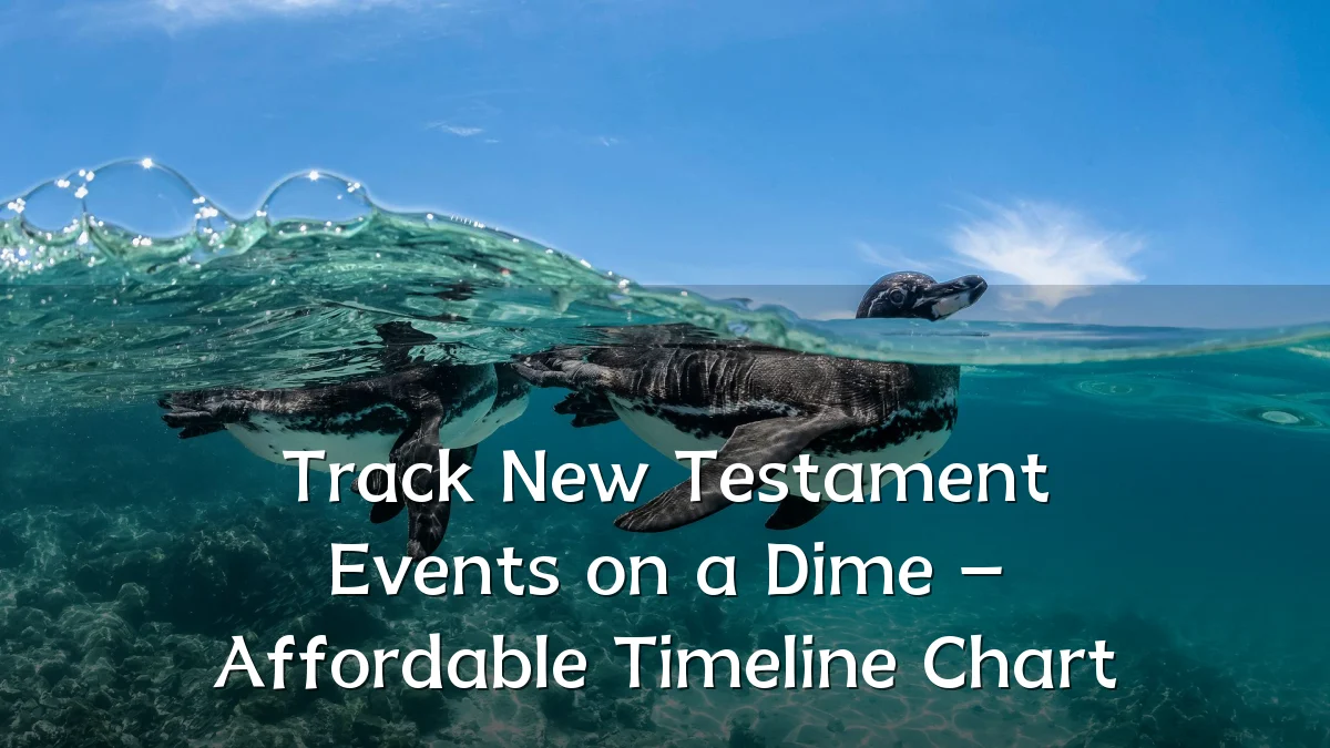 Track New Testament Events on a Dime – Affordable Timeline Chart