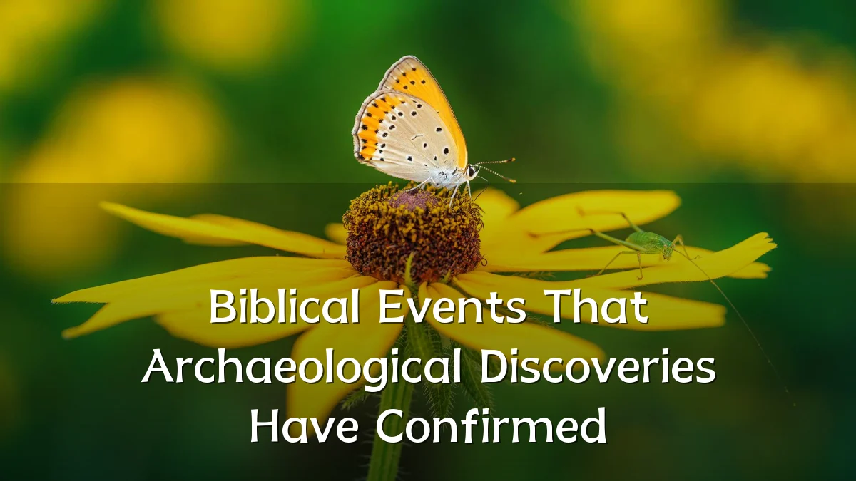 Biblical Events That Archaeological Discoveries Have Confirmed