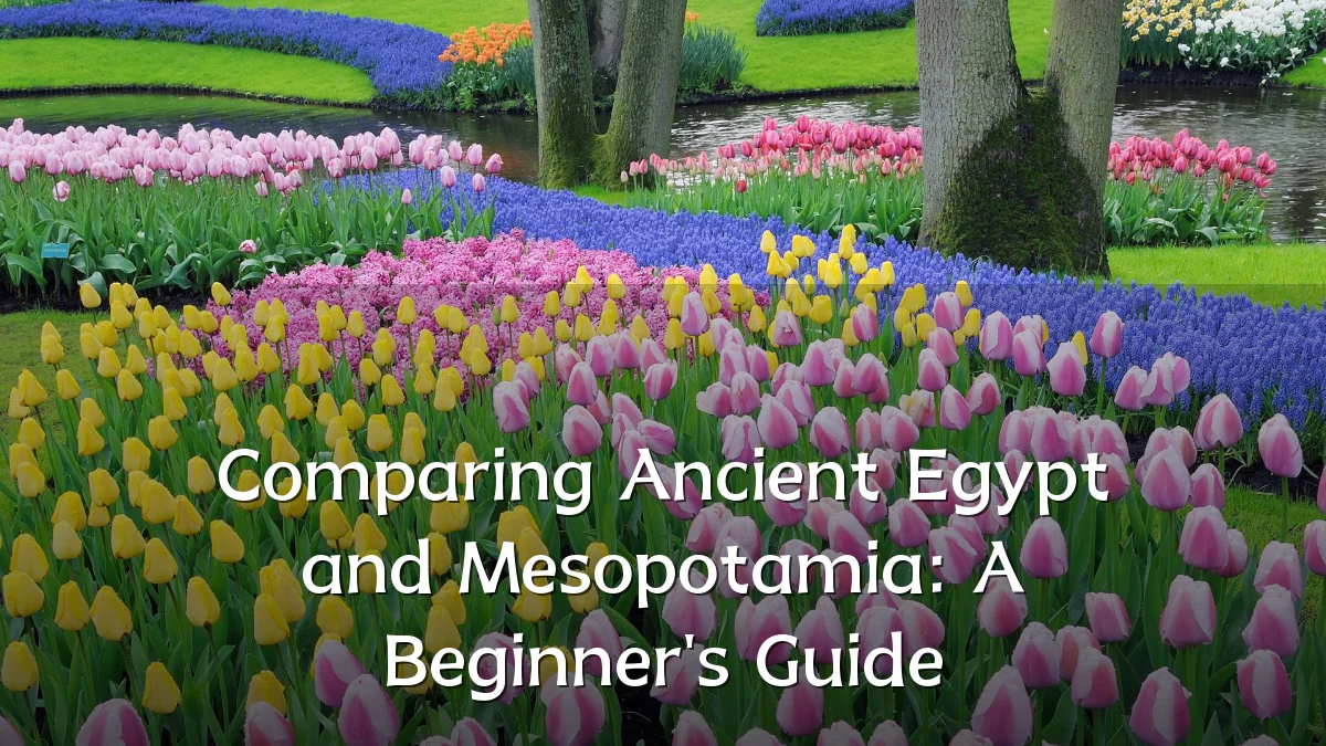 Comparing Ancient Egypt and Mesopotamia: A Beginner's Guide