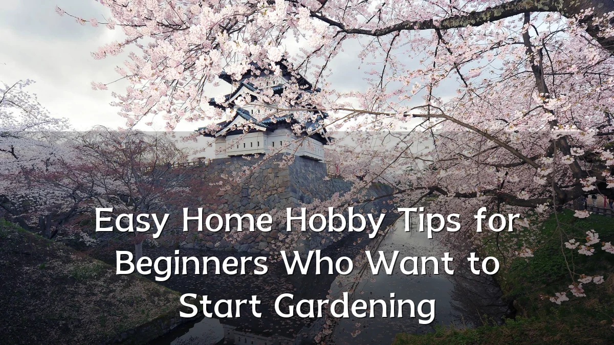 Easy Home Hobby Tips for Beginners Who Want to Start Gardening