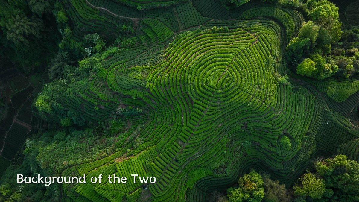 Background of the Two