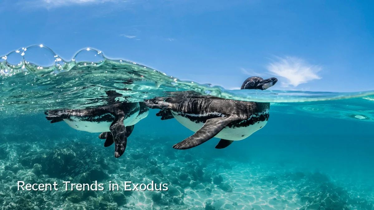 Recent Trends in Exodus