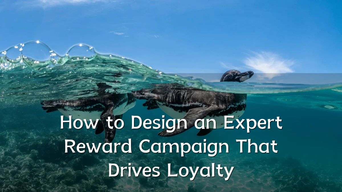 How to Design an Expert Reward Campaign That Drives Loyalty