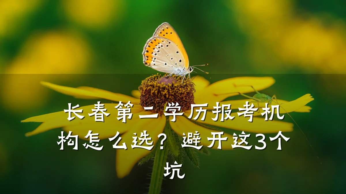 长春第二学历报考机构怎么选?避开这3个坑