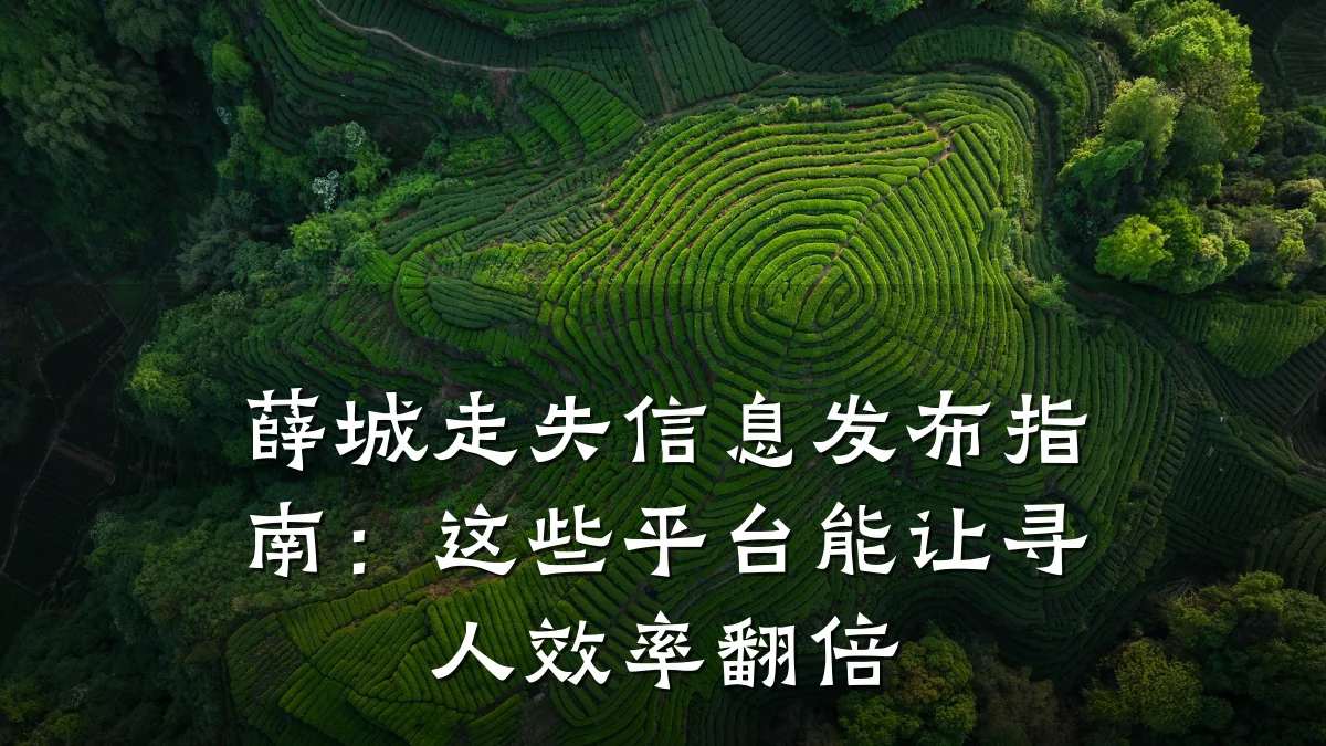 薛城走失信息发布指南：这些平台能让寻人效率翻倍