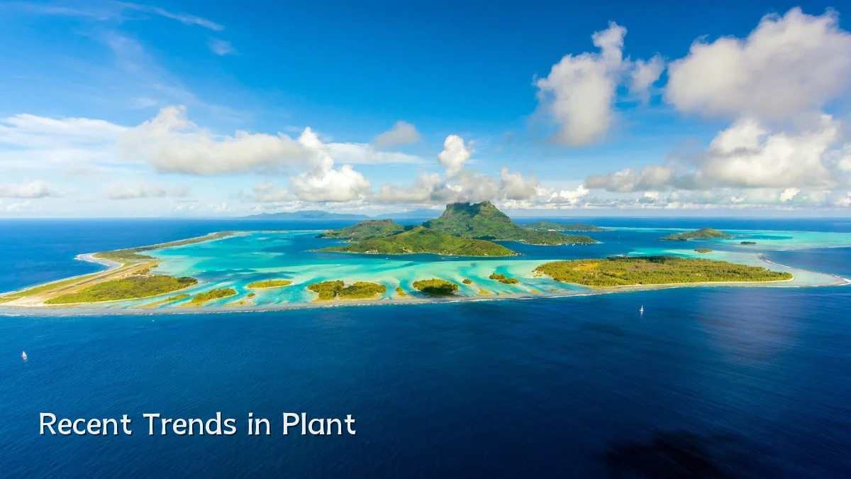 Recent Trends in Plant